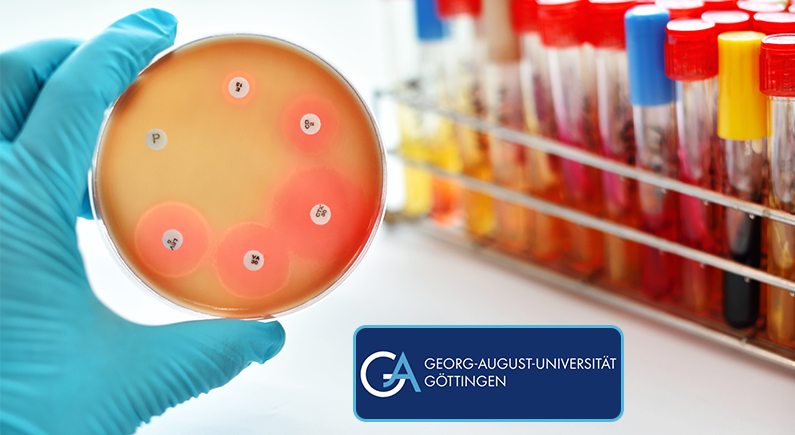 3D Cell Cultures Unlock Revolutionary Insights in Tissue Mechanics