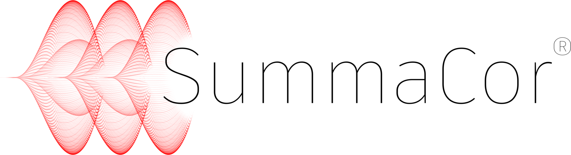 partner