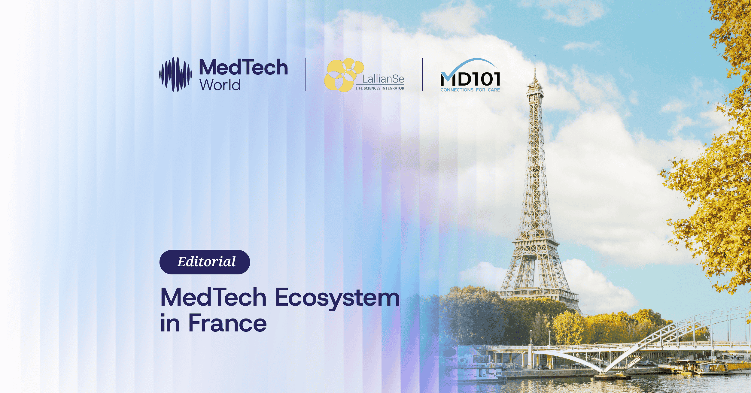 MedTech Market in France Hits €37B: Innovation and Global Ties Grow 